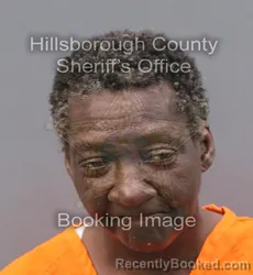 Mugshot of CASSANDRA MARIE NEAL