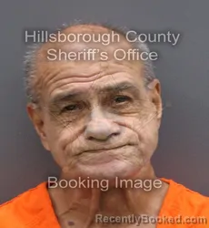 Mugshot of FELIX JR PELAEZ