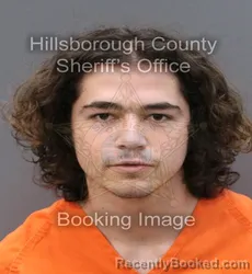 Mugshot of BRENDAN MATTHEW MCGUIN