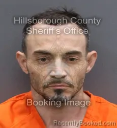 Mugshot of NOEL CHRISTOPHER RODRIGUEZ EGAN