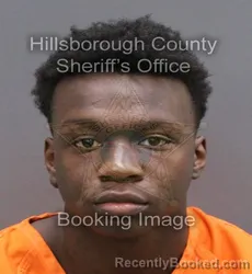 Mugshot of VARTEICE KA'MARIYON HAMILTON