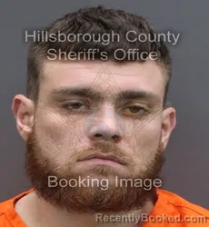 Mugshot of JAMES ANTHONY MATHIS HESS