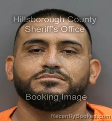 Mugshot of JOSE VALENTIN JR ORTEGA