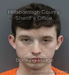Mugshot of BLAKE MARCELLUS GERMAN