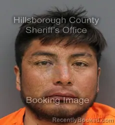 Mugshot of LEONEL TELLEZ GONZALEZ