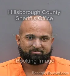 Mugshot of ERNESTO ULISES MANZANILLO URENA