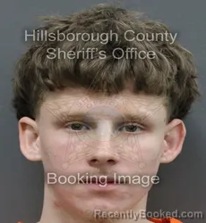 Mugshot of SHAWN NEAL GIST