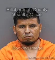 Mugshot of SILVERIO DEL ANGEL HERNANDEZ