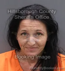 Mugshot of AMY MARIE MCDONALD