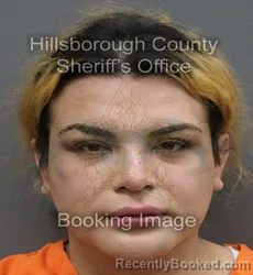 Mugshot of JORGE LUIS RODRIGUEZ DE LA ROSA