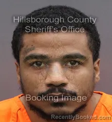 Mugshot of RUSSEL JAMES RAY