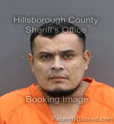 Mugshot of LESTER NOEL BRAVO FONSECA
