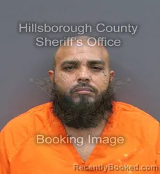 Mugshot of Jose Antoniogarcia Jr Garcia booked in Hillsborough County, Florida on August 22, 2026