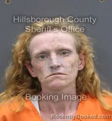 Mugshot of Tobi Jolene Tinsley booked in Hillsborough County, Florida on August 22, 2026