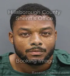 Mugshot of Dshon M Rosser booked in Hillsborough County, Florida on August 22, 2026