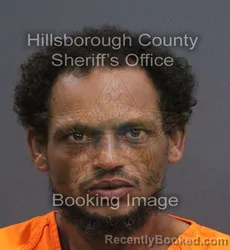 Mugshot of Julio Angel Morales Vazques booked in Hillsborough County, Florida on August 22, 2026