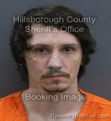 Mugshot of Michael D Dinicola booked in Hillsborough County, Florida on August 22, 2026