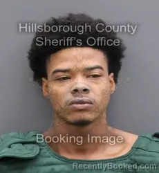 Mugshot of ADANNY JAHEEM WILLIAMS