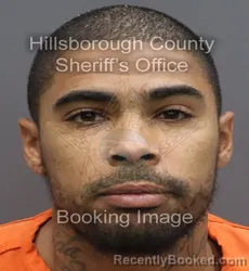 Mugshot of Alexander Blayre Wingo booked in Hillsborough County, Florida on August 22, 2026