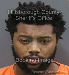 Mugshot of Charles Ulen Alexander booked in Hillsborough County, Florida on August 22, 2026