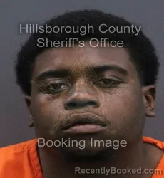 Mugshot of Fernando Isiah Bermudez booked in Hillsborough County, Florida on August 22, 2026