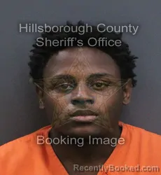 Mugshot of Hassun Mehdi Hakim booked in Hillsborough County, Florida on August 22, 2026