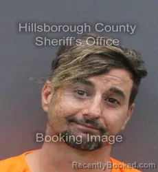 Mugshot of Joshua Shane Owens booked in Hillsborough County, Florida on August 22, 2026
