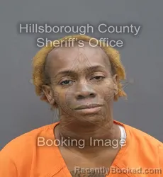 Mugshot of Tierra Ashley Sider booked in Hillsborough County, Florida on August 22, 2026