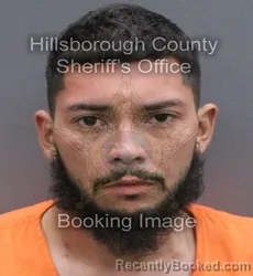 Mugshot of Ryan Noel Ibarra booked in Hillsborough County, Florida on August 22, 2026