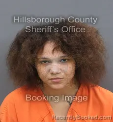 Mugshot of Elana Jana Rodriguez booked in Hillsborough County, Florida on August 22, 2026