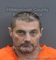 Mugshot of Domenic Decample booked in Hillsborough County, Florida on August 22, 2026