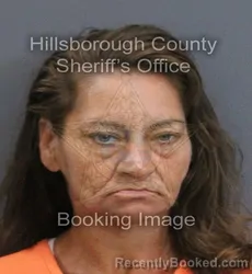 Mugshot of Michelle Lee Doll booked in Hillsborough County, Florida on August 22, 2026