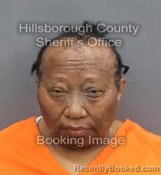 Mugshot of Favour Eugenie Adams booked in Hillsborough County, Florida on August 22, 2026