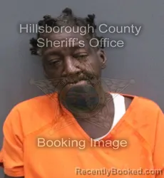 Mugshot of Cassandra Marie Neal booked in Hillsborough County, Florida on August 22, 2026