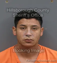 Mugshot of Andry E Pena Monslave booked in Hillsborough County, Florida on August 22, 2026