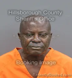 Mugshot of Isaac K Baah booked in Hillsborough County, Florida on August 22, 2026