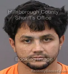 Mugshot of EDIL DAVID HERNANDEZ LOPEZ