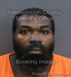 Mugshot of Christopher Damarcus Johnson booked in Hillsborough County, Florida on August 22, 2026