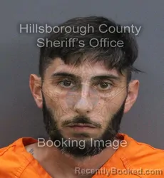 Mugshot of Gregory Cullen Griffey booked in Hillsborough County, Florida on August 22, 2026