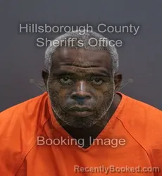 Mugshot of Tokavin Marquis Davis booked in Hillsborough County, Florida on August 22, 2026
