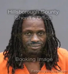 Mugshot of Alan M Riggins booked in Hillsborough County, Florida on August 22, 2026