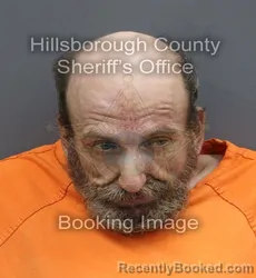 Mugshot of Jarrett Daniel Brown booked in Hillsborough County, Florida on August 22, 2026