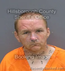 Mugshot of David Jr Ferreiro booked in Hillsborough County, Florida on August 22, 2026
