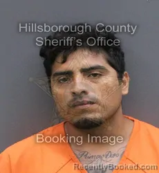 Mugshot of Miguel Angel Tepal Gomez booked in Hillsborough County, Florida on August 22, 2026