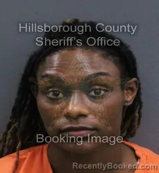 Mugshot of Lydia Monique White booked in Hillsborough County, Florida on August 23, 2026