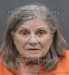 Mugshot of Mary Elizabeth Majorowicz booked in Hillsborough County, Florida on August 23, 2026