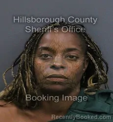 Mugshot of Ashley Rockell Jones booked in Hillsborough County, Florida on August 23, 2026