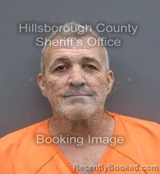 Mugshot of Dion John Papas booked in Hillsborough County, Florida on August 23, 2026