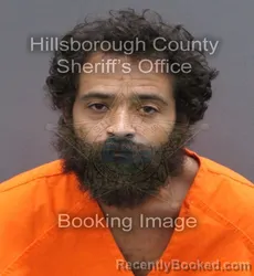 Mugshot of Richard Michael Peters booked in Hillsborough County, Florida on August 23, 2026