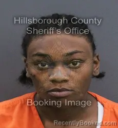 Mugshot of Kevianna Shantae Tarlton booked in Hillsborough County, Florida on August 23, 2026